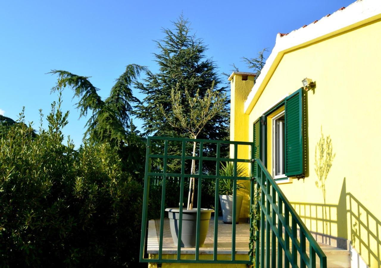 Apartments Vukovic ستاري غراد المظهر الخارجي الصورة